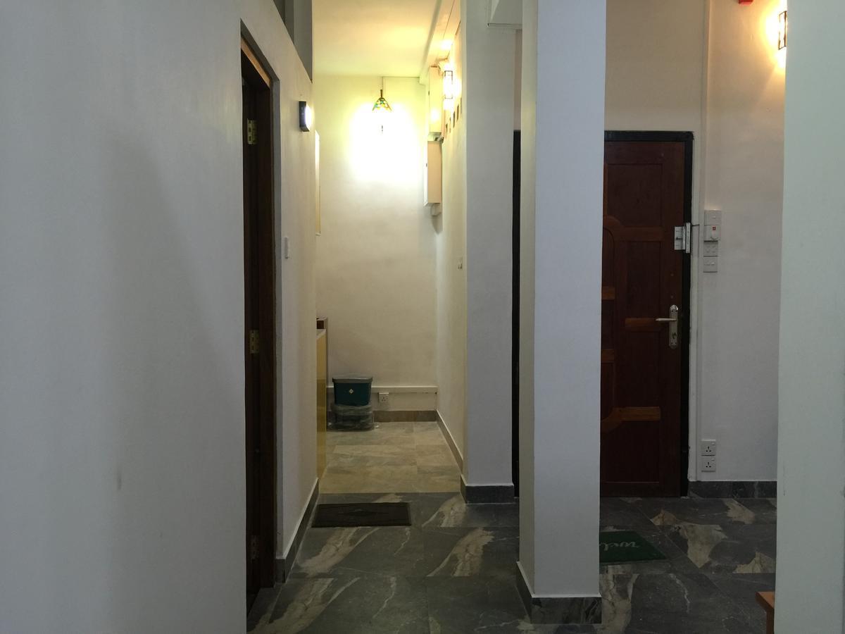 Downtown Monkey Backpackers Hostel