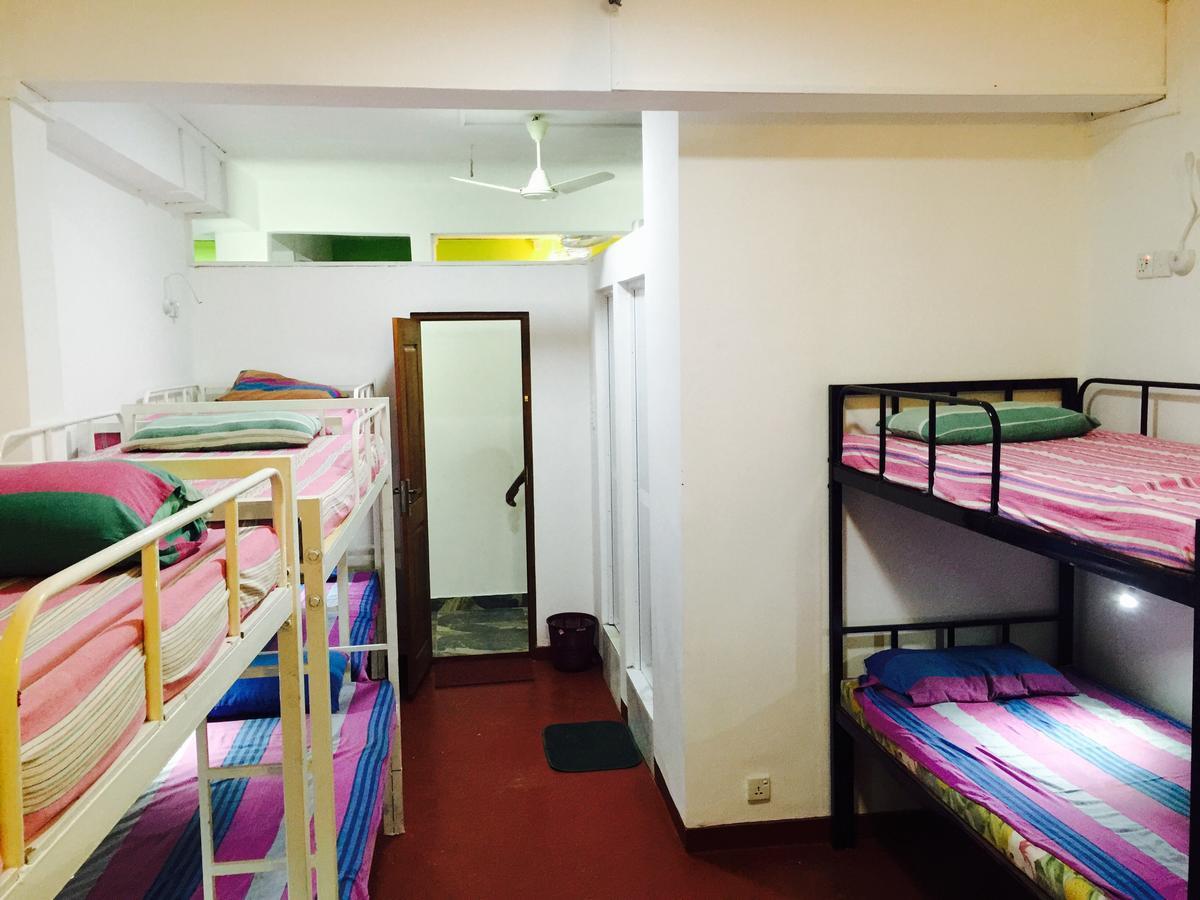 Downtown Monkey Backpackers Hostel