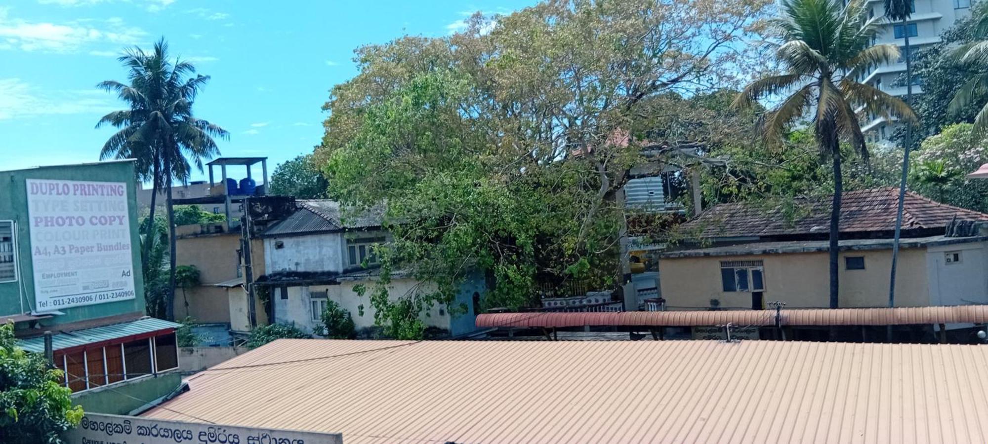 Downtown Monkey Backpackers Hostel Colombo