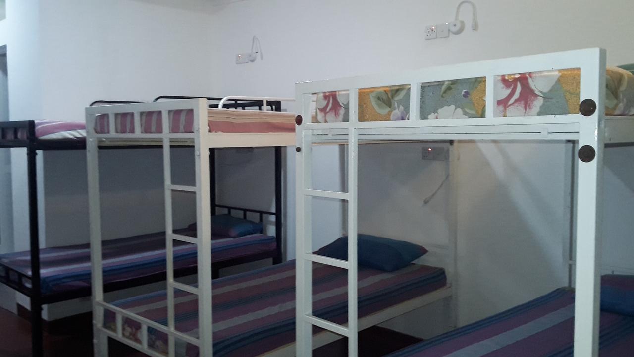 Downtown Monkey Backpackers Hostel